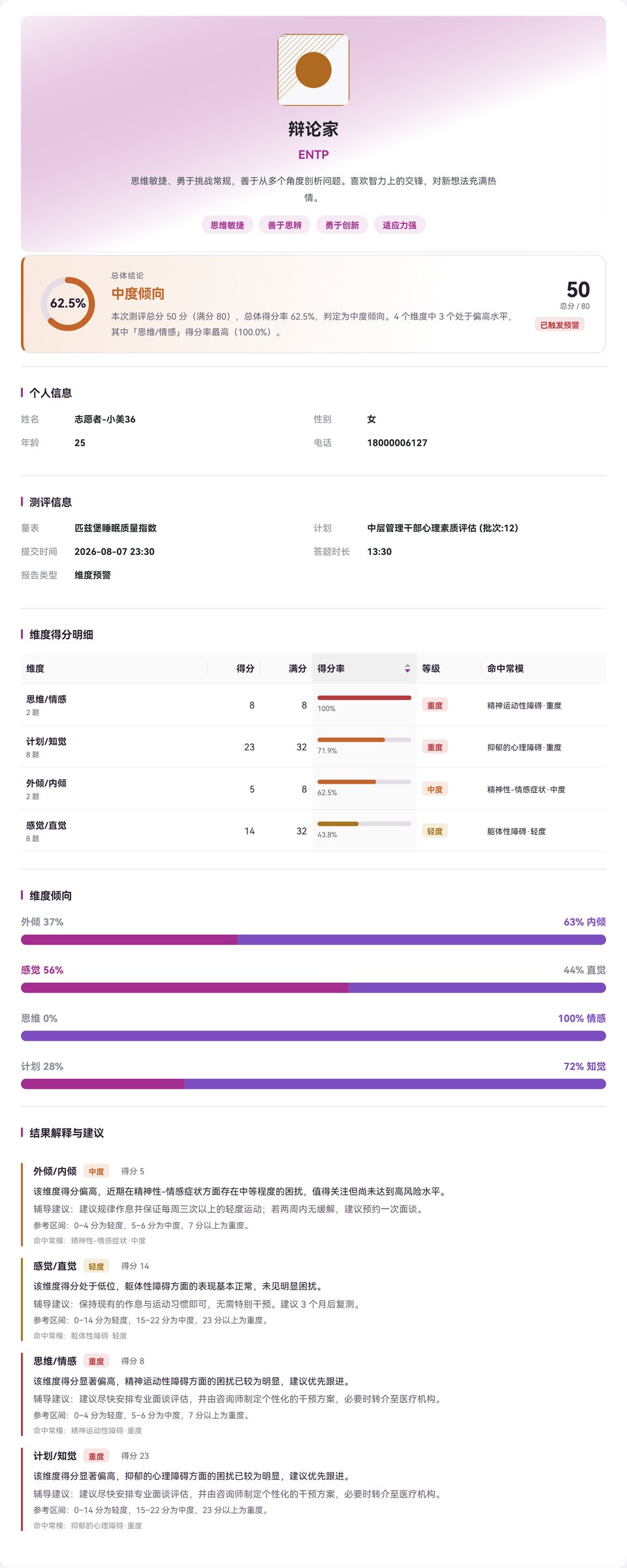 报告详情